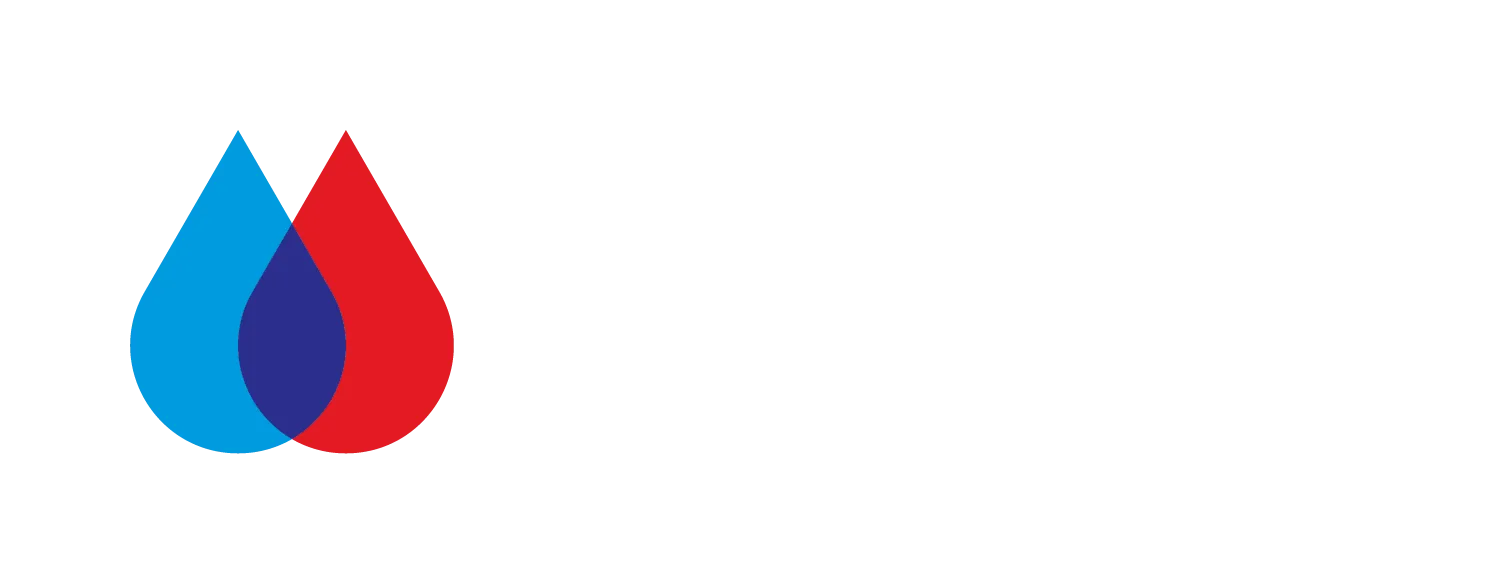 Phoenix Solutions logo